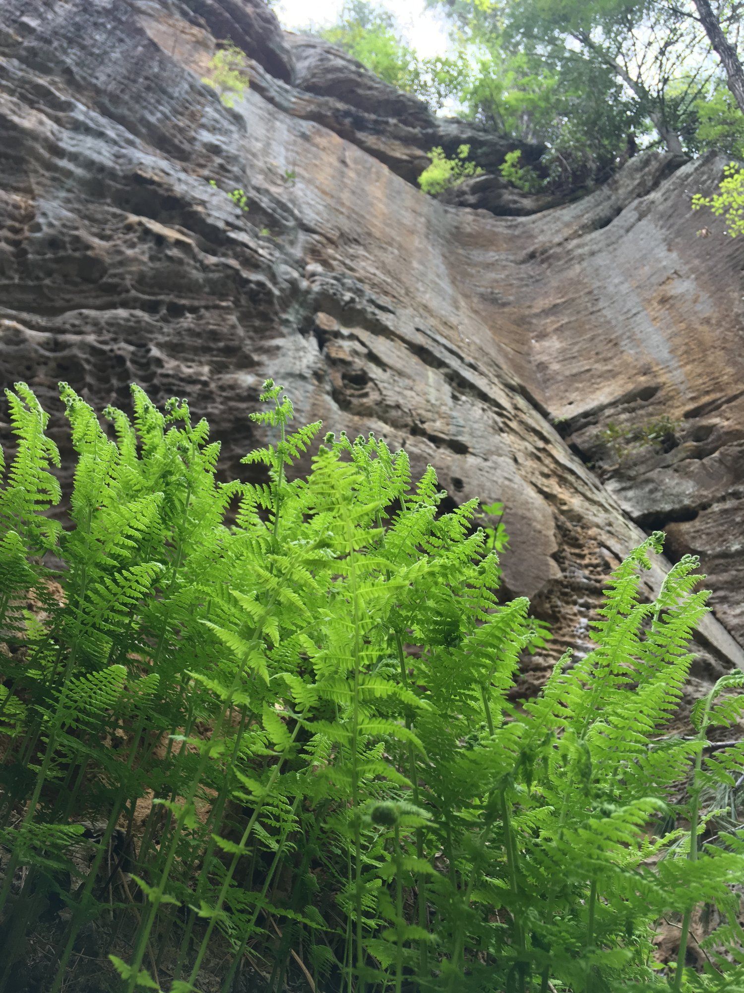 Day Four of Play Ashram: A Popup Village in the Red River Gorge