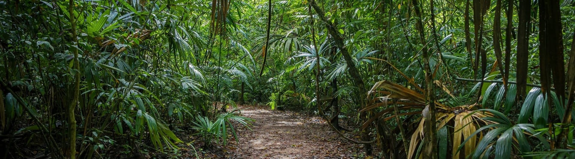 I don't really know how this happened...