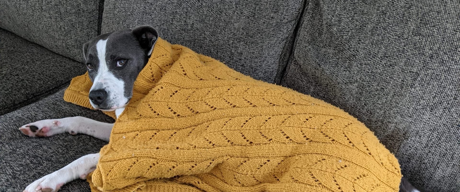 When Play isn't Easy